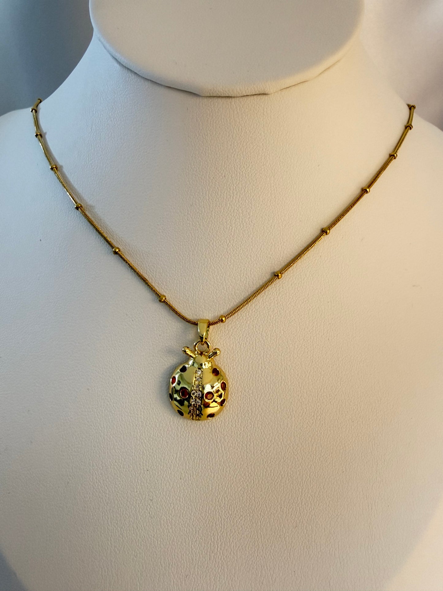 الحظ والفرح 🐞